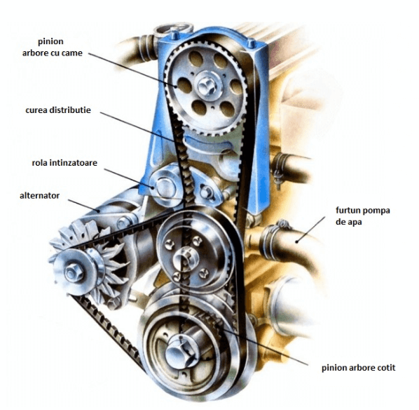 Distribuite pe curea - Ediagnoza